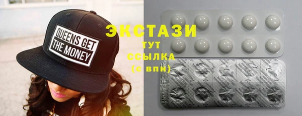 гидра Абаза