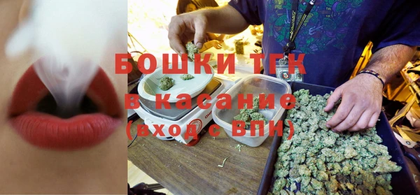 гидра Абаза