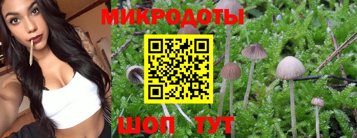 Псилоцибиновые грибы Psilocybine cubensis  Вход с VPN  Чебоксары  Псилоцибиновые грибы Psilocybe 
